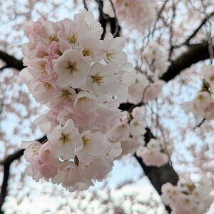 Meet Your Posher, Gabrielle